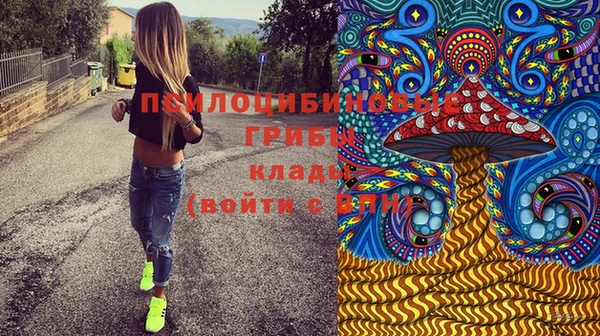 ГАЛЛЮЦИНОГЕННЫЕ ГРИБЫ Ладушкин