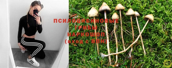 ГАЛЛЮЦИНОГЕННЫЕ ГРИБЫ Ладушкин