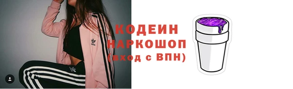 ГАЛЛЮЦИНОГЕННЫЕ ГРИБЫ Ладушкин