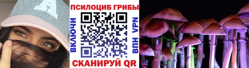 Галлюциногенные грибы прущие грибы  Новый Оскол 